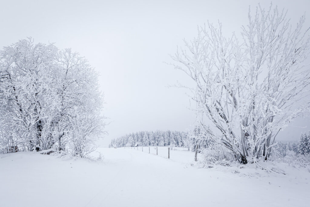 Winterlandschaft im Osterzgebirge
